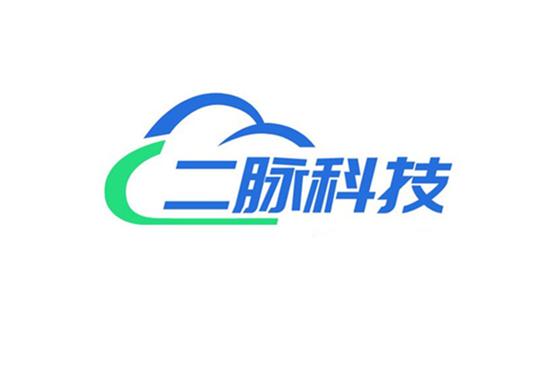 聚焦科技前沿，赋能企业数字化转型——探析张泽端公司的业务布局与发展路径